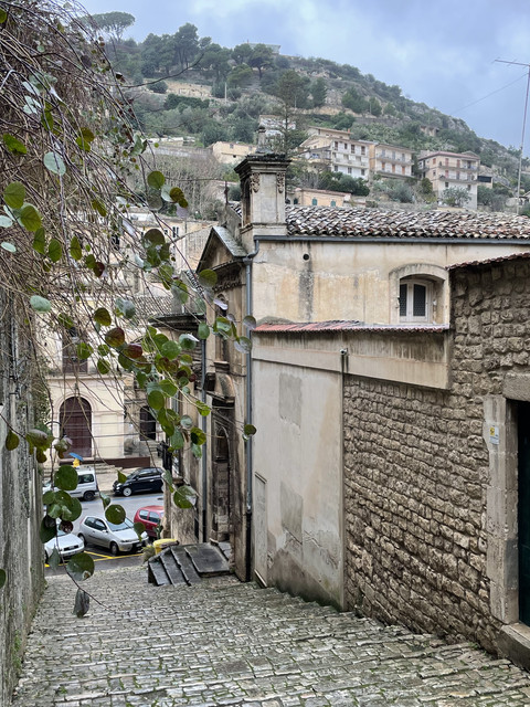 IMG-8767