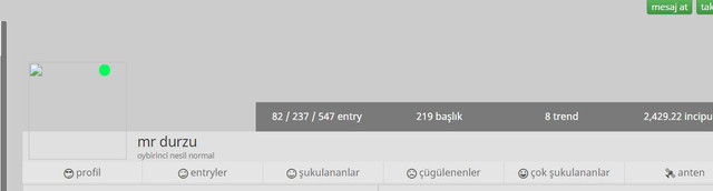 12131313