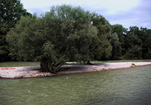 IMGP2135.jpg