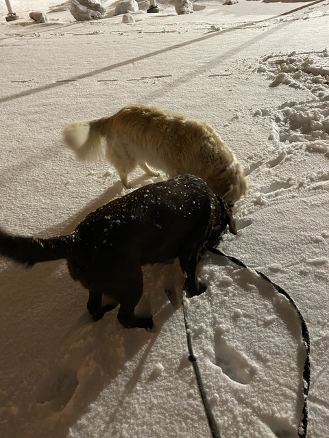 93699-E09-1-F44-4137-835-A-A1737-ABC872-