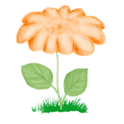 fleur12