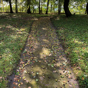 IMG-0541