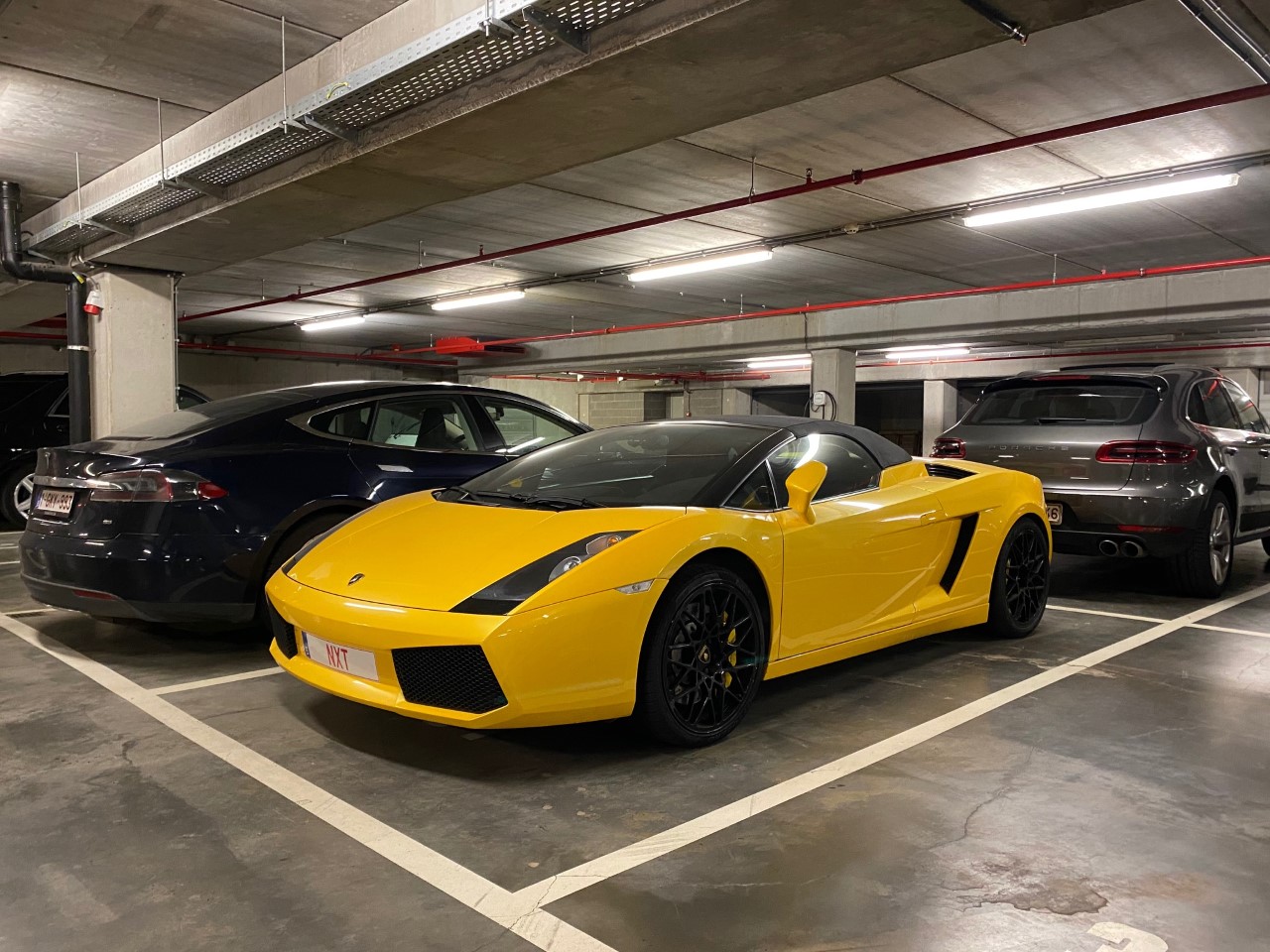 spot78.jpg