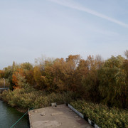 DSC08157