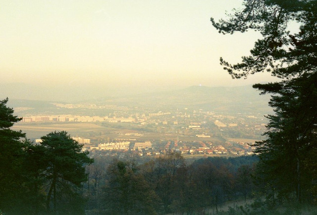 [Image: Tosca-01-034.jpg]