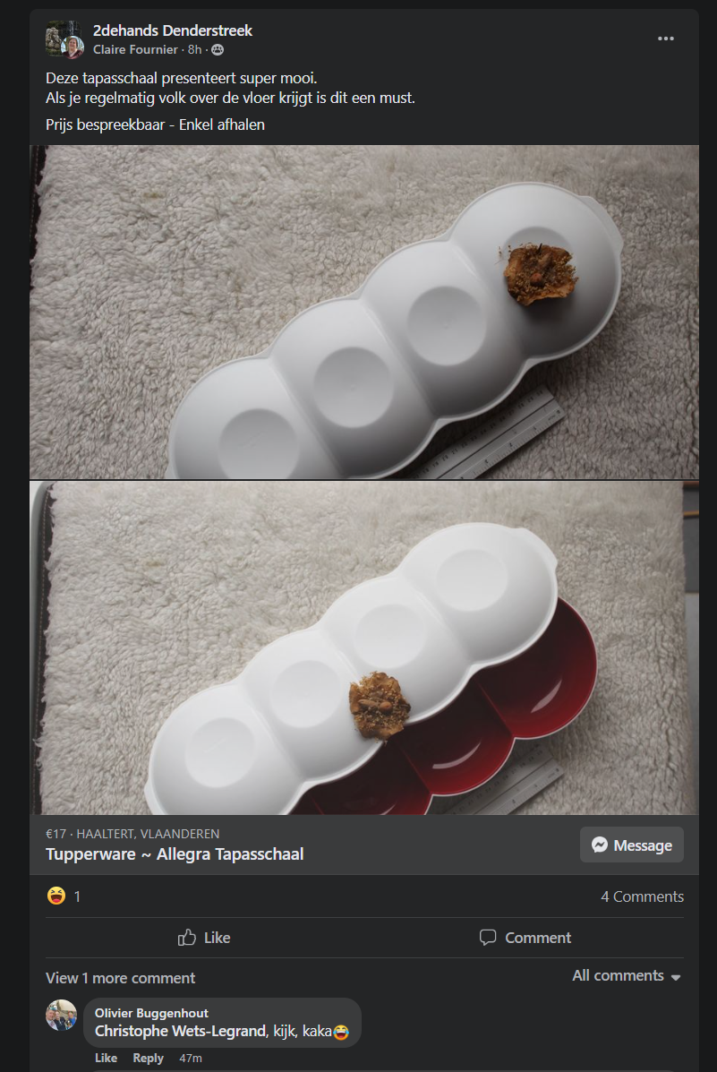 pic.png