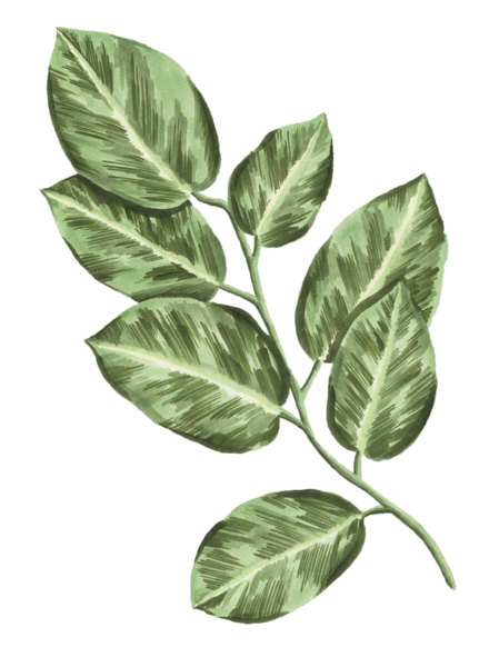 FLOWER-38-Copy.png
