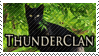 thunderclan.gif