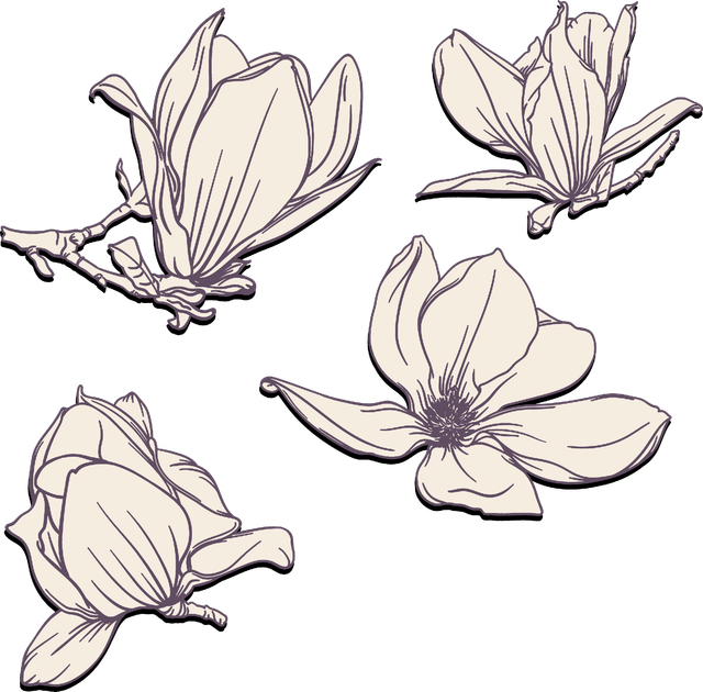 c6a9e907252d8726998d98b3c1218f64.png