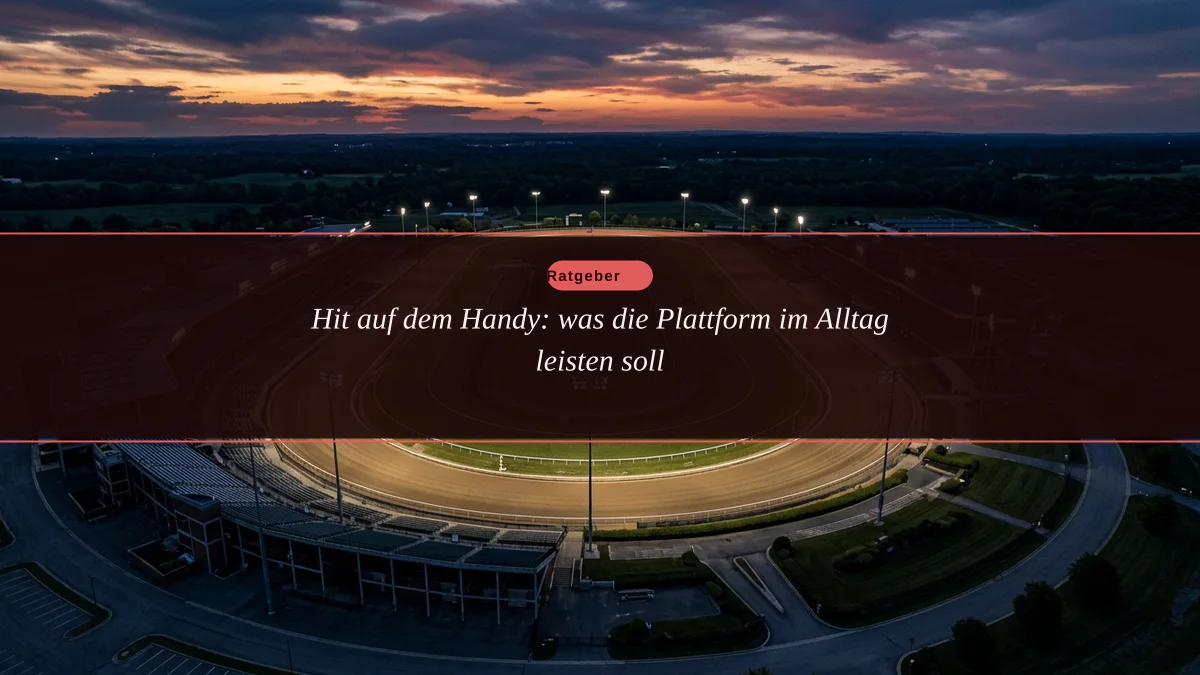 Hit auf dem Handy: was die Plattform im Alltag leisten soll