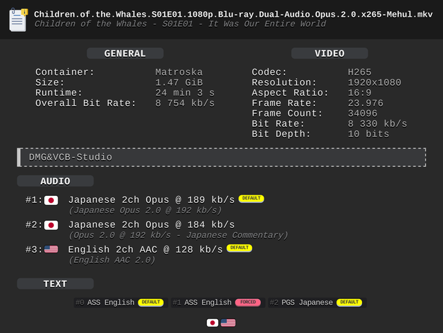 Whales VCB MediaInfo