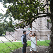 IMG 4226