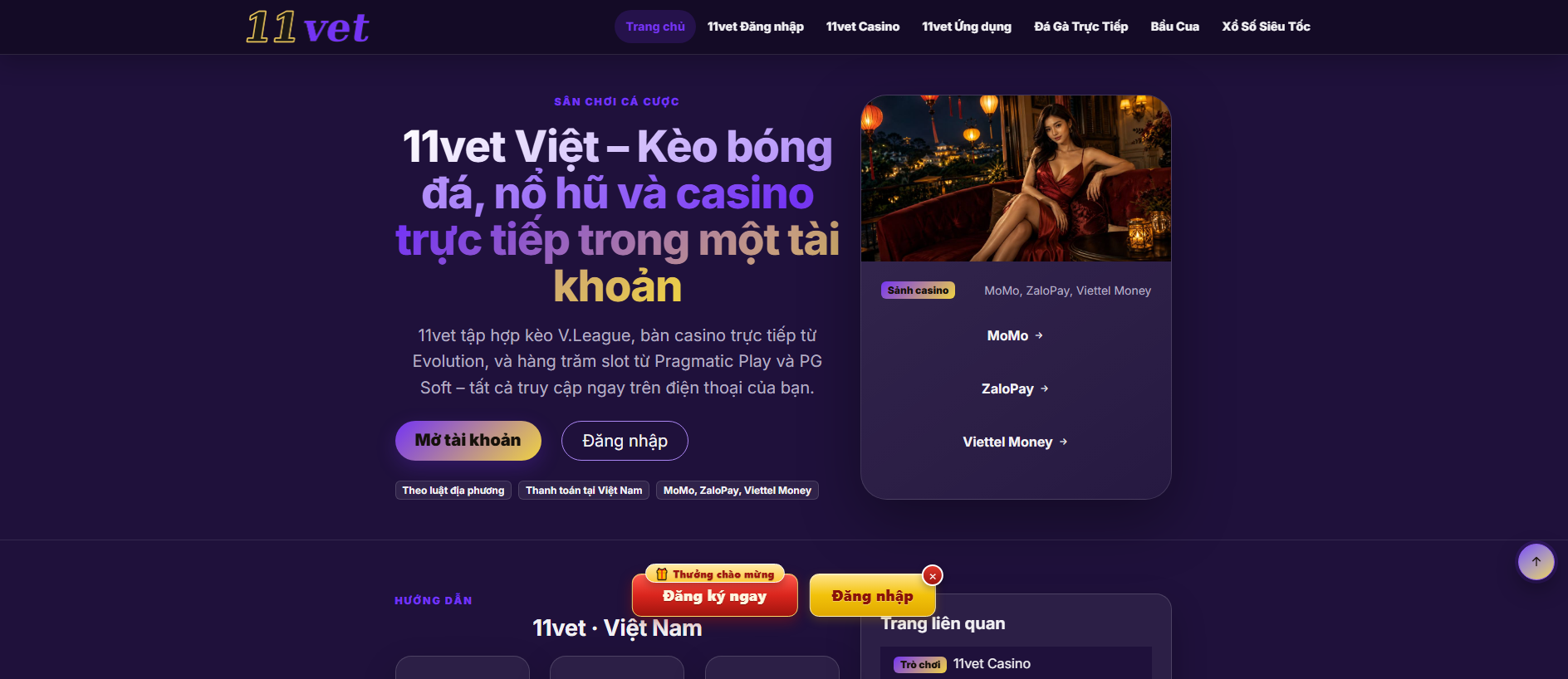 Stored capture of 11vet.com