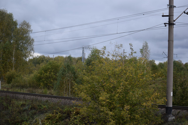 DSC 0418.jpg