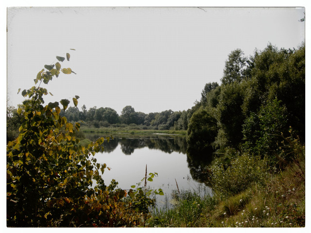 IMG-9062dpp.jpg