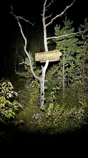 IMG 5650.jpg