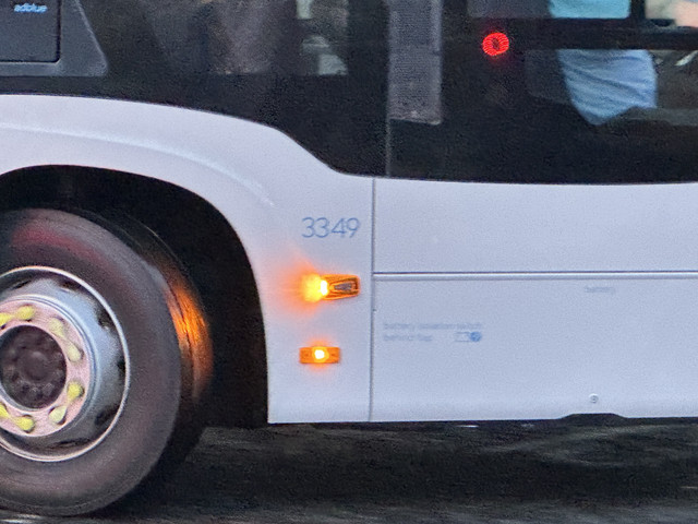 IMG 3351