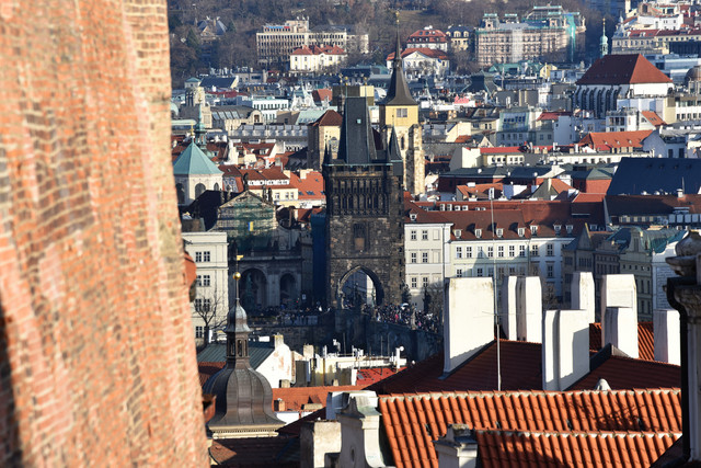 DSC 2481.jpg
