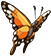 Orange butterfly