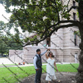 IMG 4221