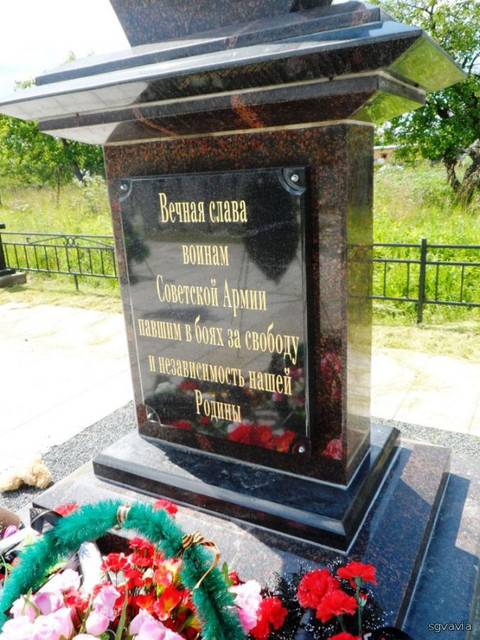 https://i.ibb.co/RGGL5NKQ/image.jpg
