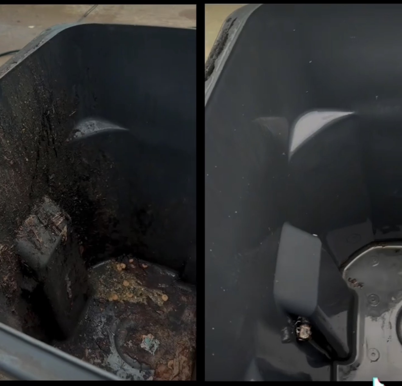 Inside bin after full detail clean