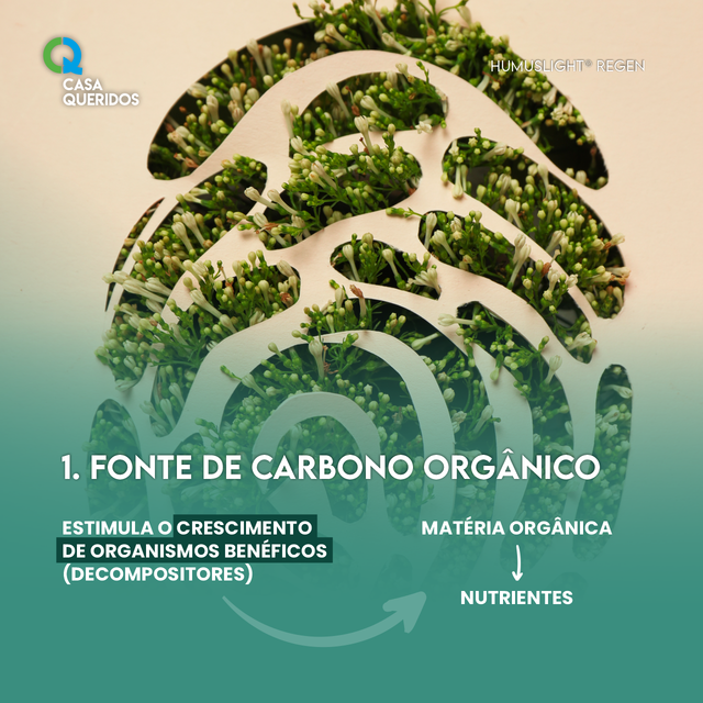 Humuslight Regen � uma fonte de carbono org�nico