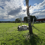 IMG-8730