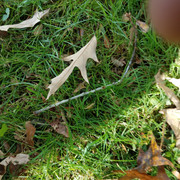 20181104 125111