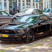 IMG-4655