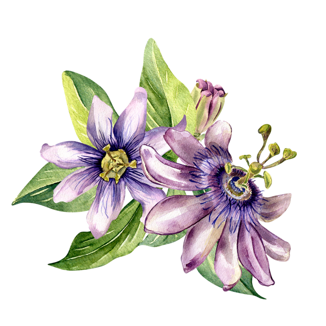 Adobe Stock 552520358.png