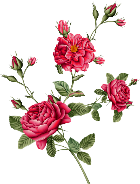 shutterstock 2231341771.png
