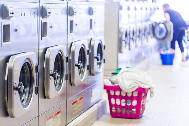 7657676.jpg