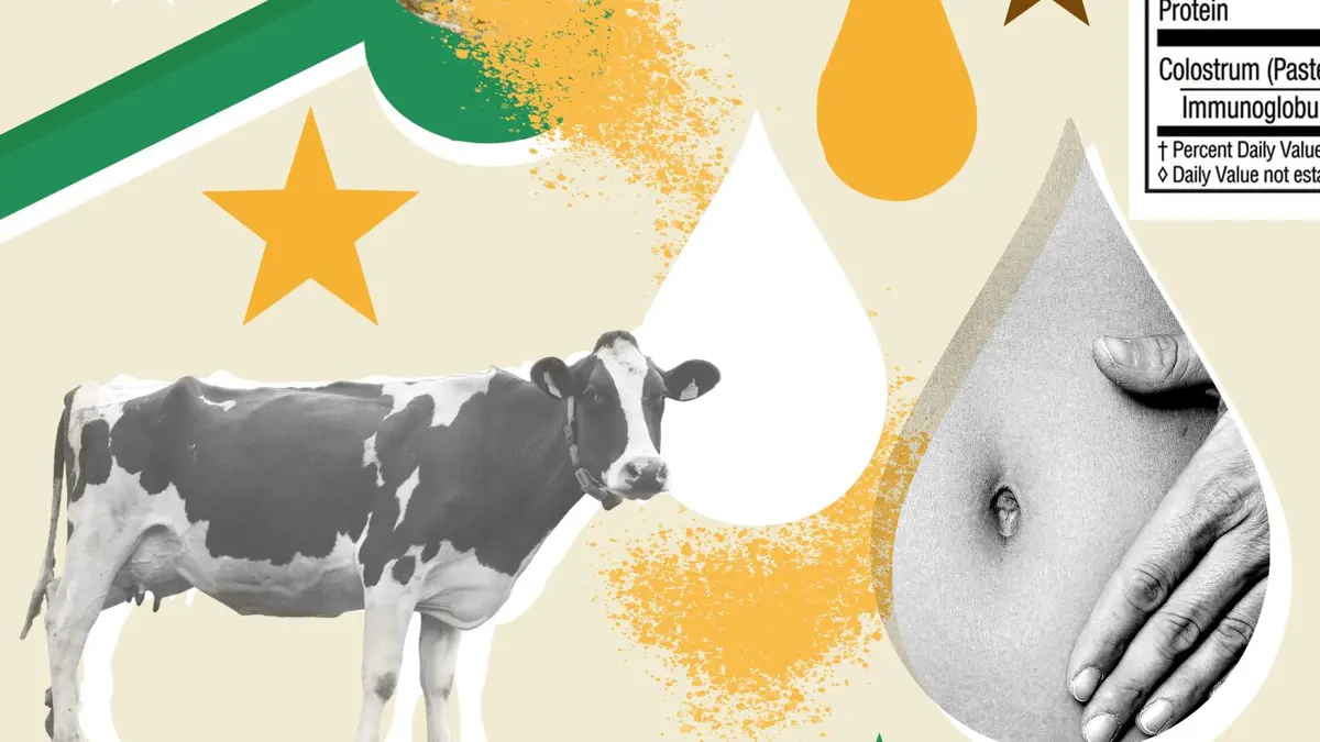 Bovine Colostrum: Gut Health Miracle or Marketing Myth?
