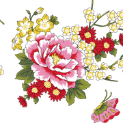 155c4fb026aea2443a87c545c3607e57