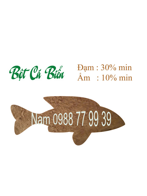 bot-ca-bien.jpg