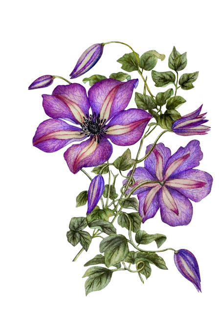 shutterstock 1659019330.jpg