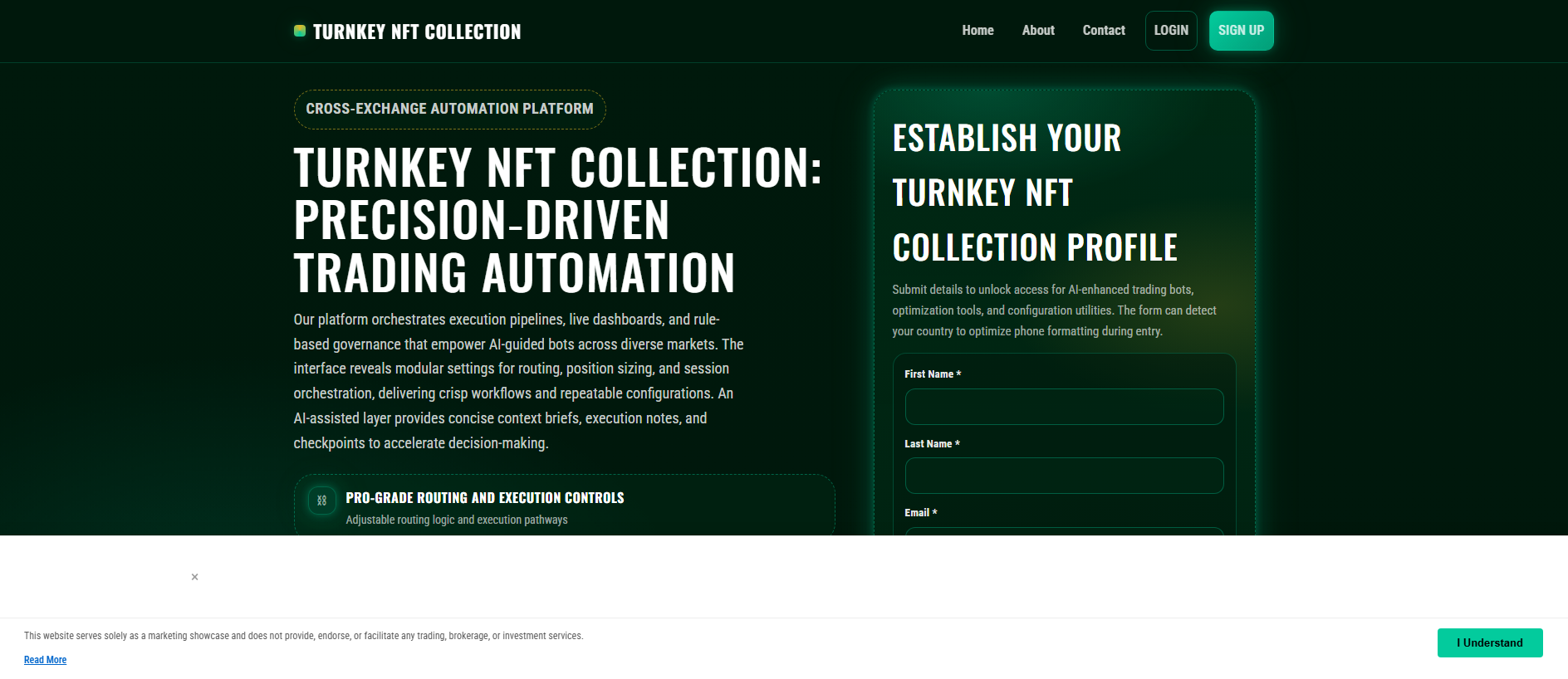 Stored capture of turnkeynftcollection.shop
