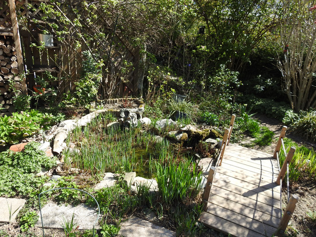 DSCN9677.jpg