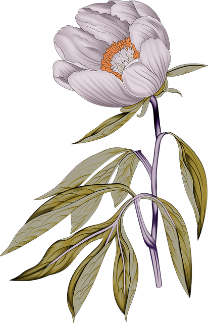 bc15f2b5428763b73645dfc80c8f33c8.png