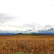 DSCN4986