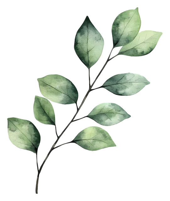 c55a5ad36ef1d17c13267d263751f8ec.png