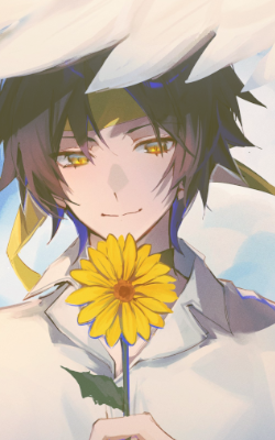 h9.png