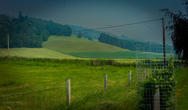 L1461406.jpg