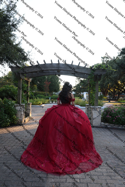 IMG 2635