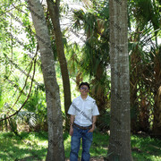 IMG 6418