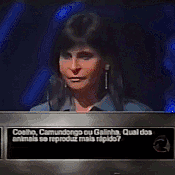 ezgif-1977bf8b2be8bb9c.gif