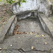 IMG 0383