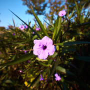 Sergio Musel Sample Photos 2