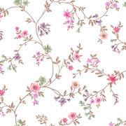 a 8 (1) copy